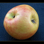 čo dokáže príroda