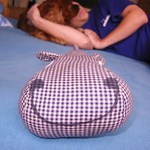 Když se dva perou třetí se směje