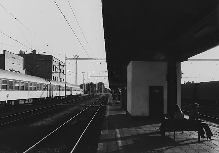 cekani.