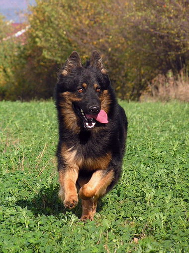 Podzimní radovánky