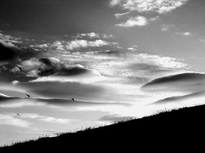 <b>...túto NEMÁM zavesenú na stene</b>