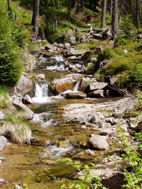 jaro přicházi