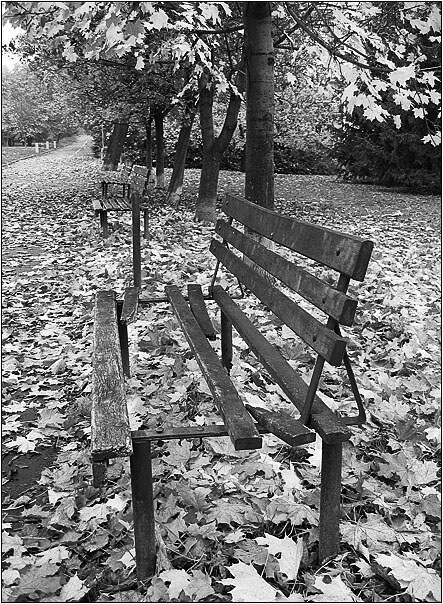 <b>Podzim lavičky...</b>