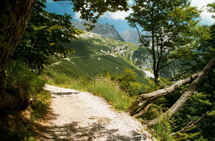 Obrázky z Alp II