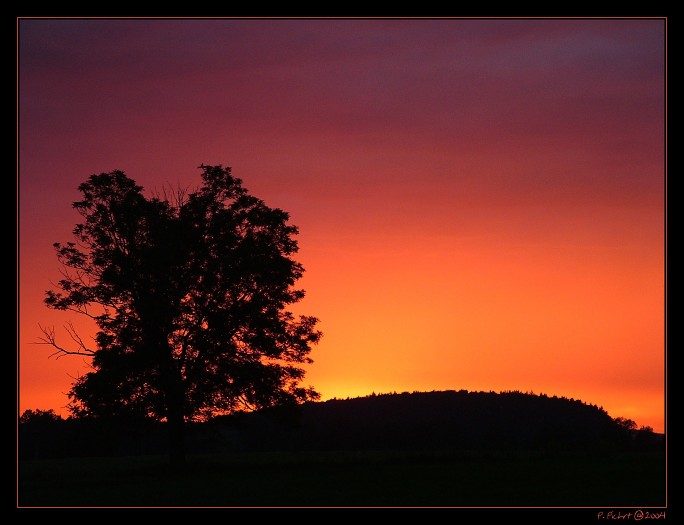 Západovka