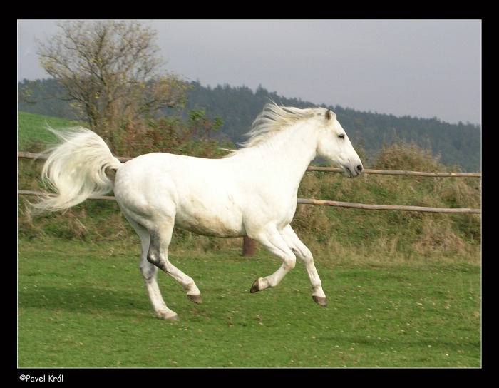 <B><U>---V BĚHU---</U></B>
