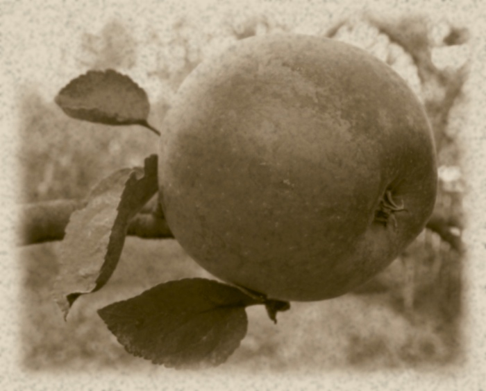 Jablíčko trochu jinak