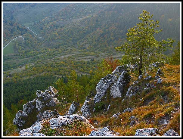 Sidorovo