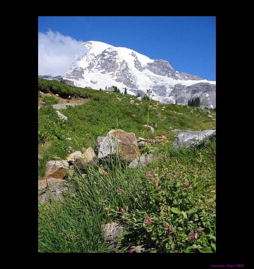Mount Rainier