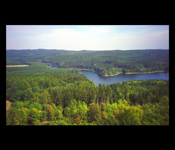 Sevřená