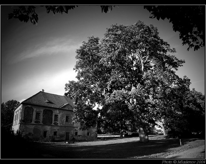 Muzeum