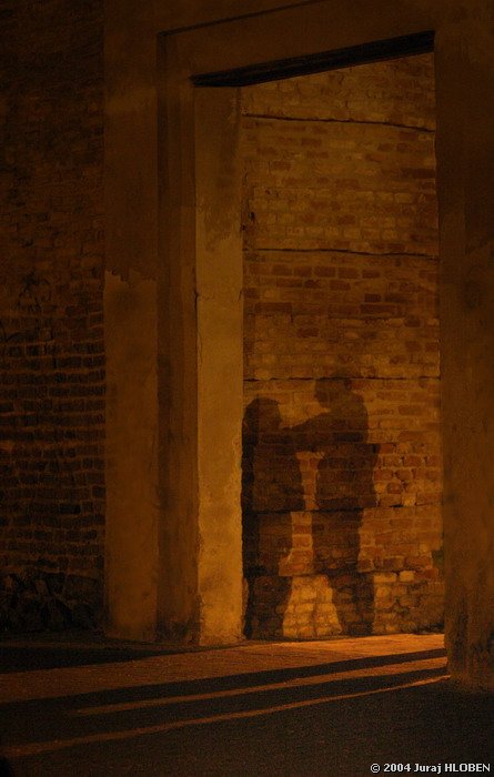 .... homo ante portas II.