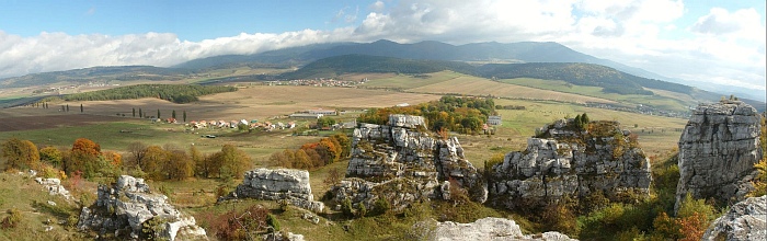 Dreveník