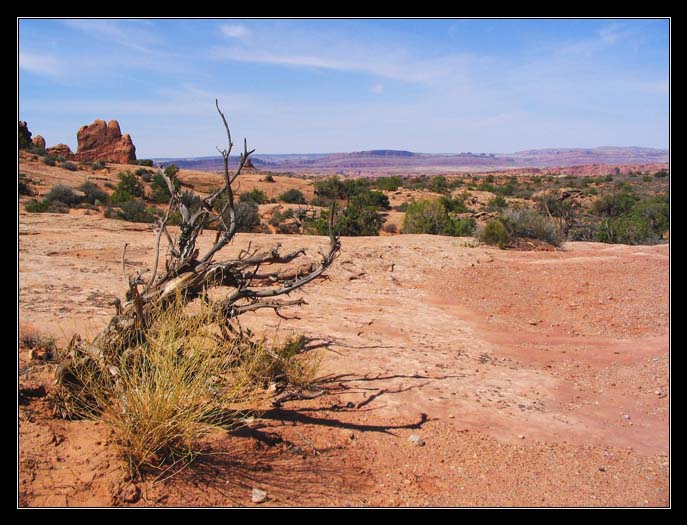 Utah Desert
