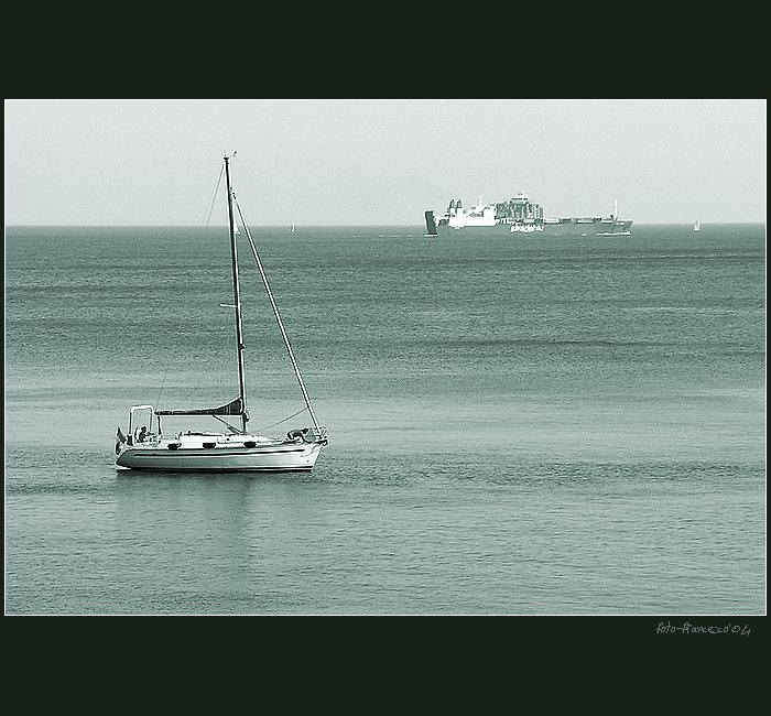 <b>living the sea</b>