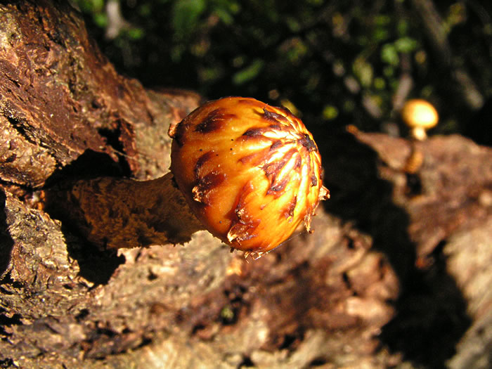 Tak už polez! Nebudu na tebe čekat věčne.