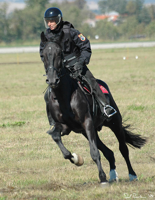 Městská policie z Ostravy