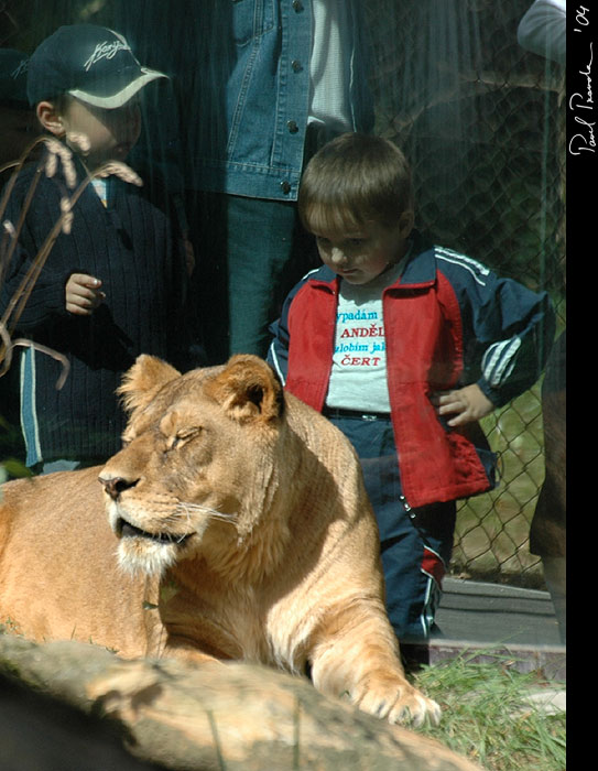 Vypadám jako anděl, zlobim jako čert