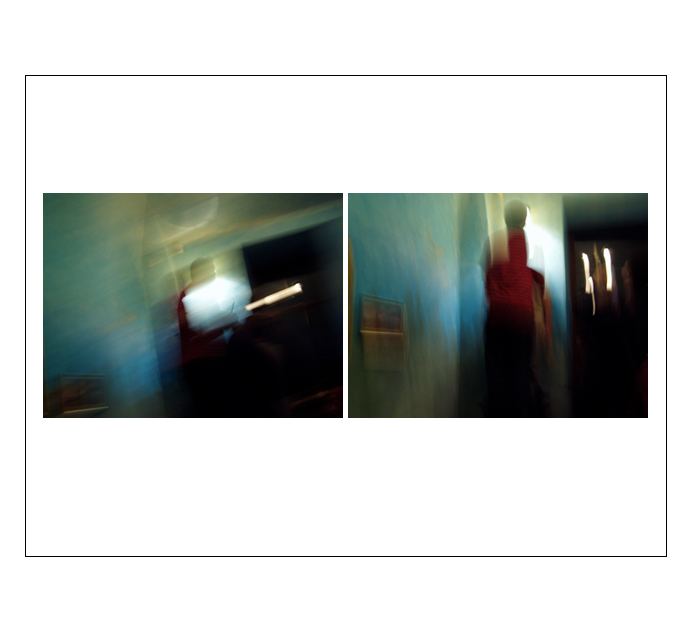 Dodo - diptych