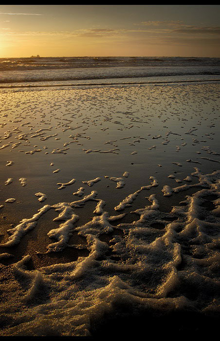 see the sea I.