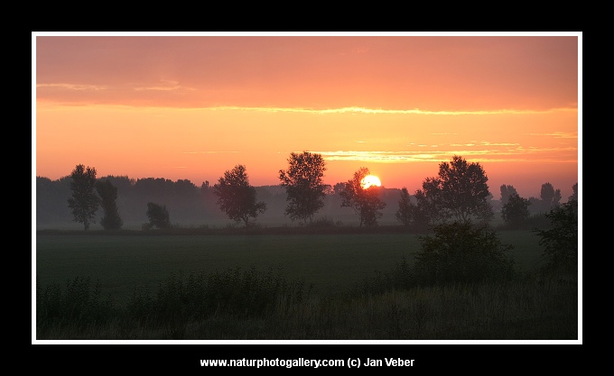 Svítání v lukách