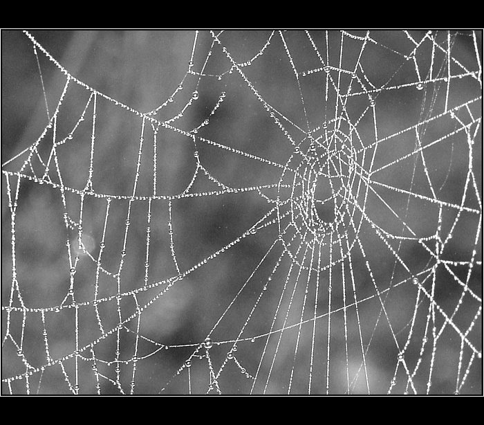 A kde je webmaster ???