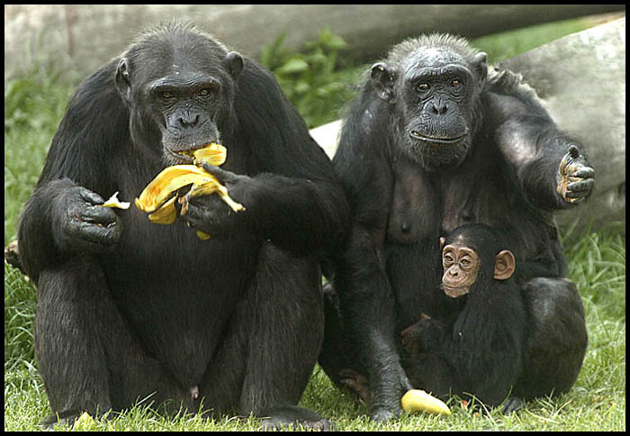 Dělej, mámo, žebrej rychle, už nemám co jíst