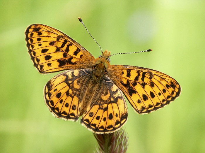 Můj poslední letošní