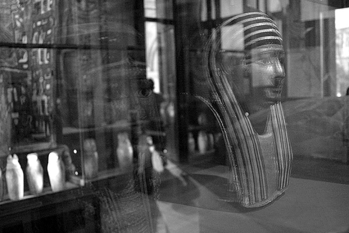 oddeleni nesmrtelnych