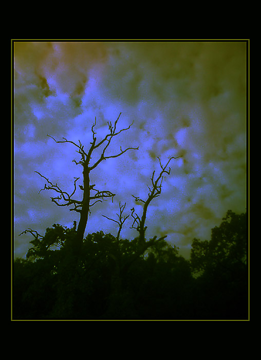 Nadpriemernost' sa nevypláca (niekedy)