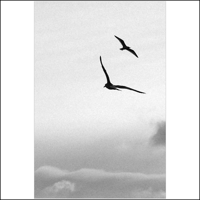 ...jen tak na lítačku...