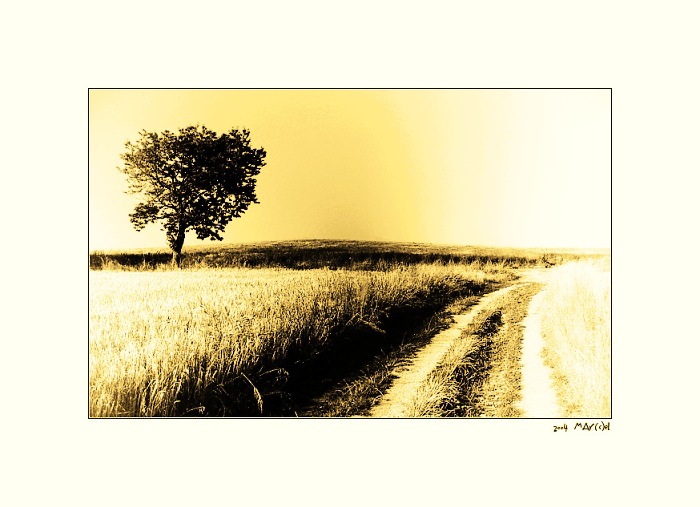 ..:: eXtravaganze ::..