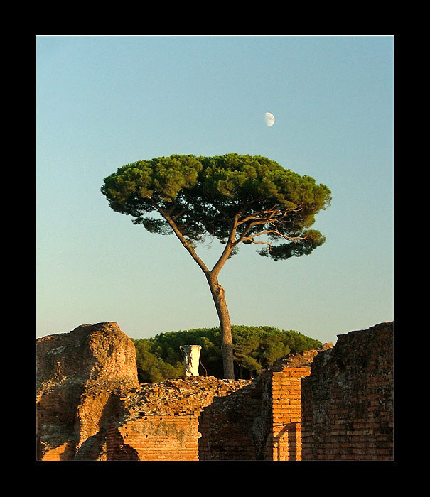 Rome III. - Roman Forum