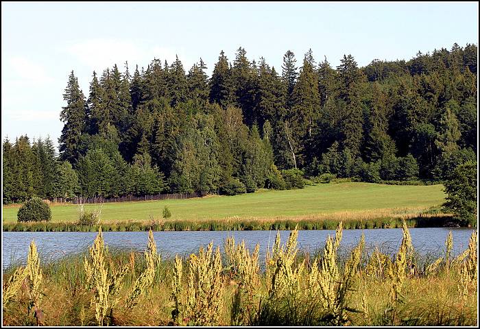 Vysočina