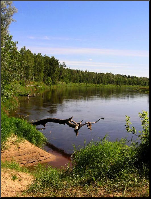 Gauja