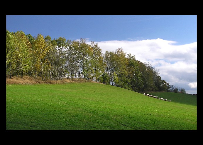 Poslední pastva oveček