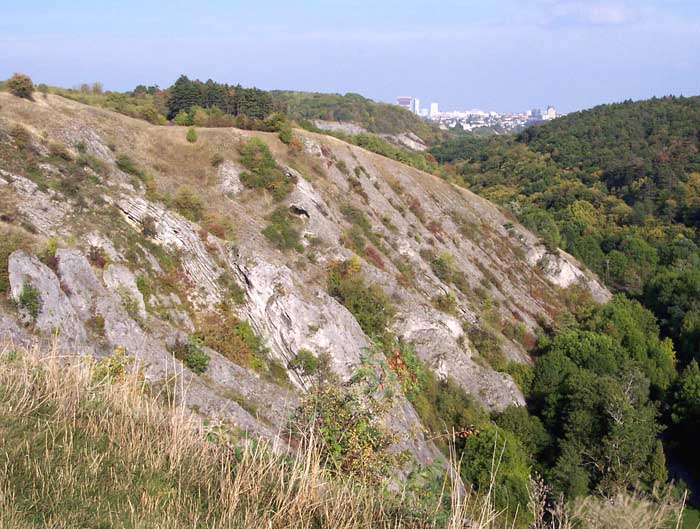 Pred branami Prahy