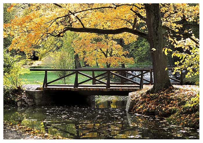 Průhonický Park III.