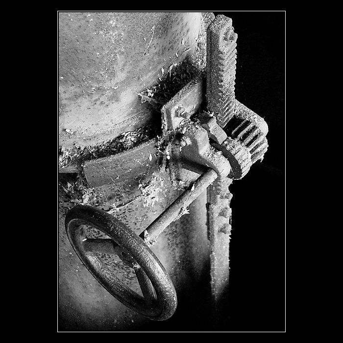 Mechanismus domestikus.