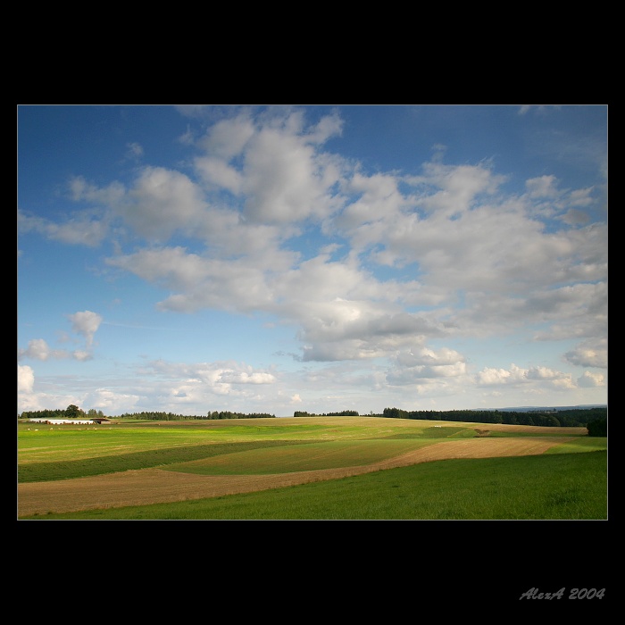 Pozdně zářijová dobytčí