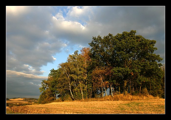 Vysočina