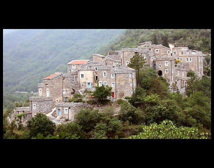 Telematic Village