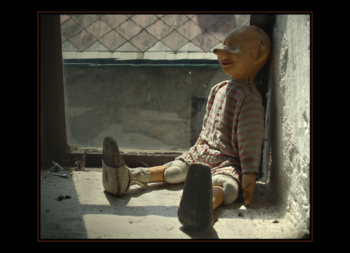 another beetle dolly