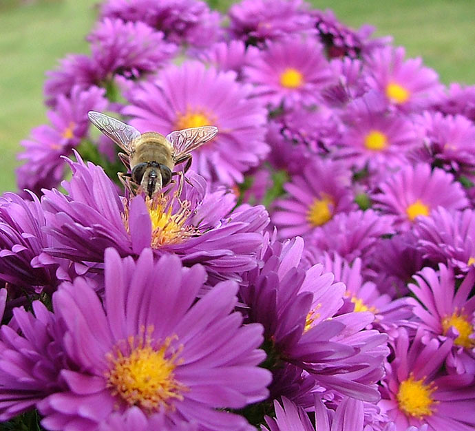 To všechno je moje!