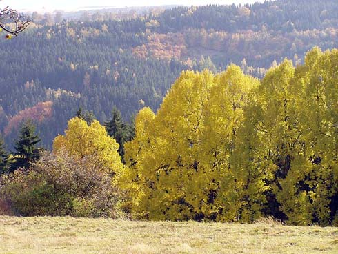 Podzim v okolí Bečova nad Teplou