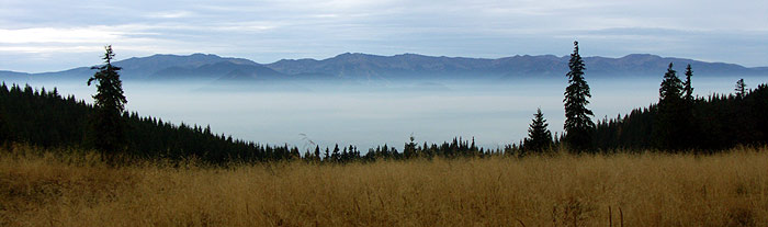 Inverzia