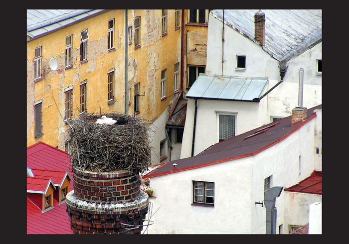 ... tak tady bydlí čápi?