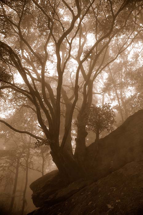 les je místo mí....