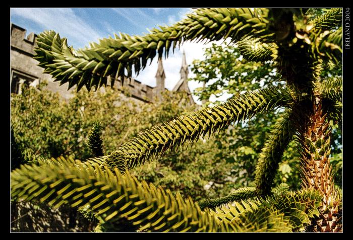 Irsko 2004 - National University of Ireland, Galway