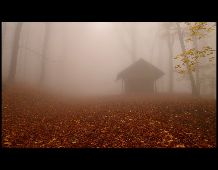 za mlhou co by se dala krájet ...